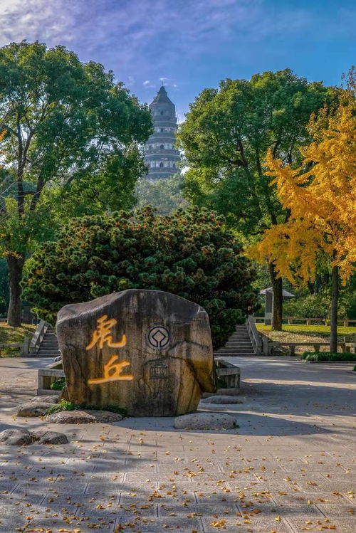 交通：比郑州火车站还拥堵