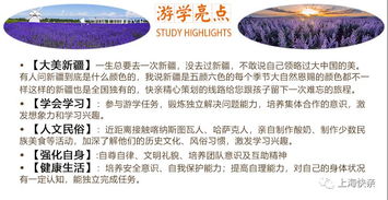 从“课本里的新疆”到“脚下的新疆”：第一天就敢“唱反调”