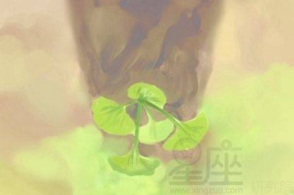 今日穿衣五行色中，粉色究竟归类于五行中的哪一种颜色？