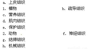 A/B 型案例解析：1991 年与 2003 年诞生者的特殊关注点
