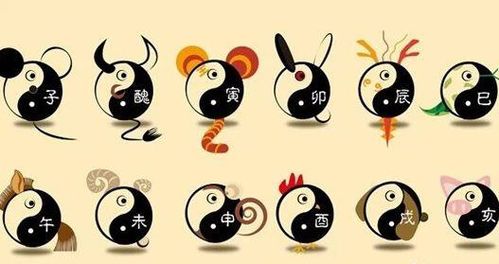 2026年姓名生肖生日配对，星座配对结果如何？