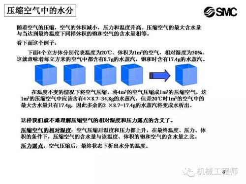 一、 种生基的理论框架与实践要点