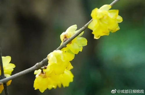 拍照禁忌：这些姿势会招来厄运