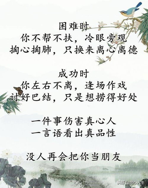 道教生态伦理精神：人与自然的和谐共生