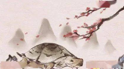 对梦见蓑衣的现代解析