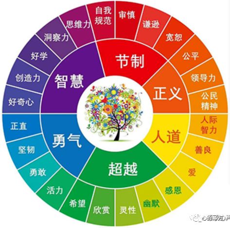 3．心理状态情绪及生活态度调节功能