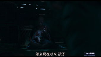 关于“荒郊玫瑰夜哭声”现象的风水学解析与命理学探究