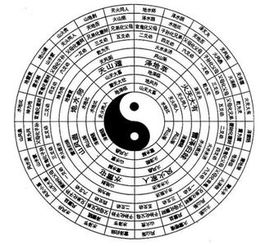 三才是哪三才在算命里具体指什么？