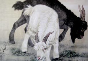 羊（属羊）