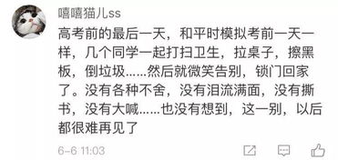 ：命运的无常与情感的羁绊
