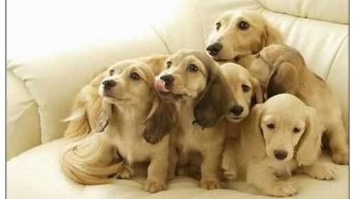 82狗大海水命的女孩取名能带水字吗，她的贵人是谁呢？