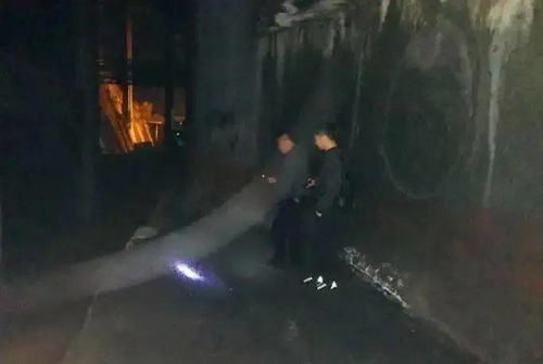 象牙白系与黑色矿石的协同效应