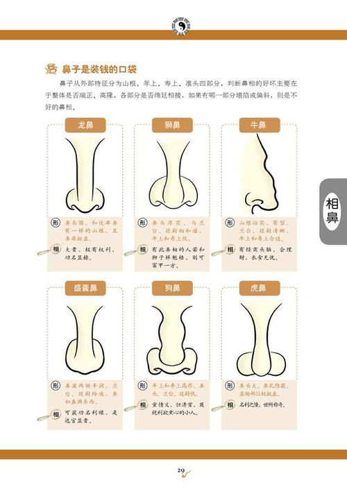 头相与命运的关系