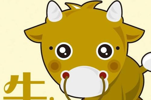 2023兔年立春至2月19日生肖牛运势如何变化？