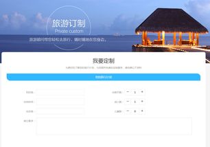 一、 市场调研：了解用户细分需求