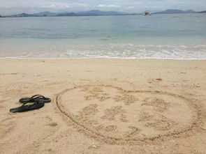 3）三亚：阳光沙滩比基尼（物价高到离谱）