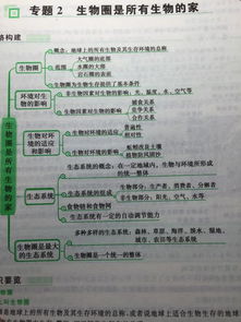 一、 理论框架与方法论概述