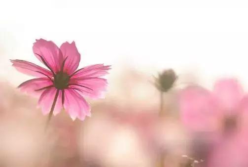 有没有姓朱的男孩名字既豪气满满又响亮大气？