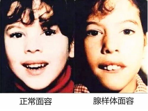 第一章：祭祀之夜——古咒与异象