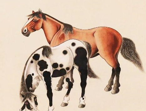 属马：热情开朗型