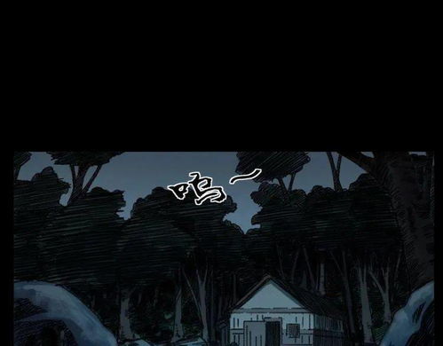 一、  风水场域中的“气口”与阴煞入侵