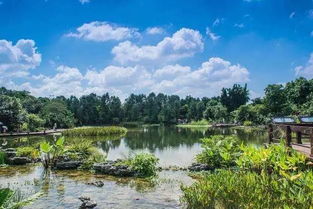 2026年最新宰客价目表