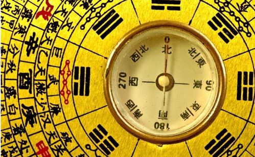 2.4 食神入用与魁梧体格