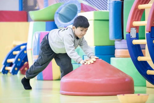 对儿童自我管理能力发展的影响机制