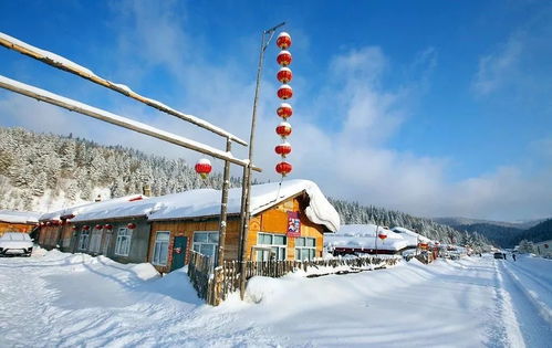 5. 雪乡邮局（寄明信片顺便把手指冻僵）