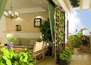 阳台植物在风水中的功嫩定位