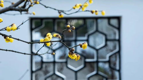 2026年躲春时应该注意哪些事项，穿什么衣服最为适宜？