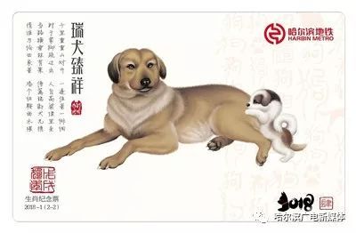 戊戌狗年八败是哪个月份？不同狗年出生的人分别对应什么狗命？