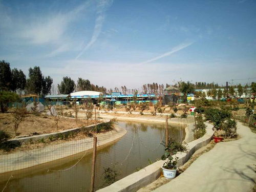 1. 泉城之魂：趵突泉的风水意象