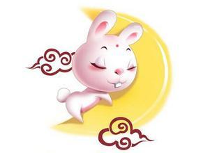 属兔人吉祥尾号4手机号，其数字风水讲究有哪些？