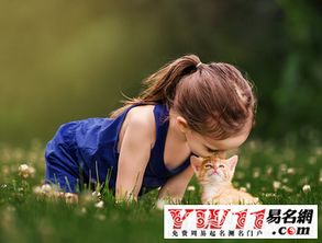 三、乱入段落——随机拼凑的大杂烩