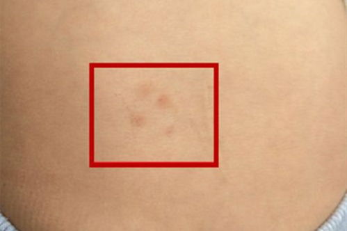 ：传统相学视域下女性体相符号的深层意蕴