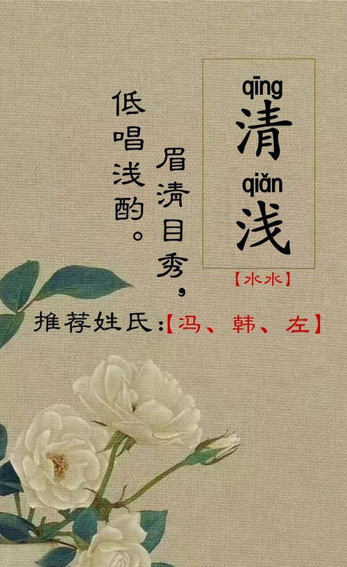 (一) 经典与雅致的碰撞：精选459个中的第一批次