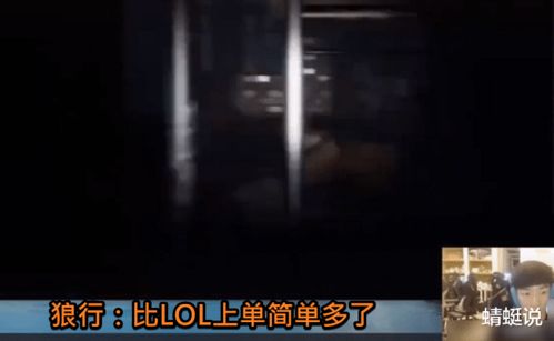 夜晚的回响