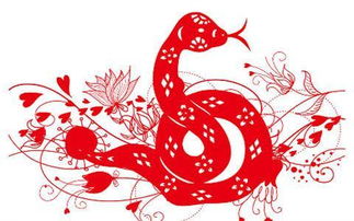 属蛇和属猪的财运如何？属猪蛇今年多大年龄了？