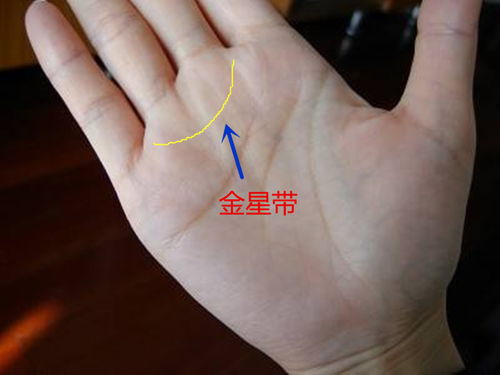 2. 金星丘的斜纹：情感爆发力的直观体现