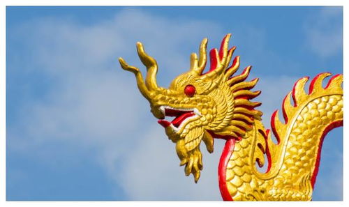 2025年属龙如何选择招财转运物件以改善35岁婚姻和事业？