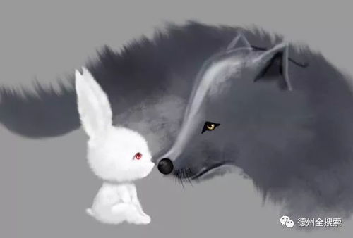 Wolf wants to be friends with rabbits ，可是动物们一看见它就害怕；最后再来看还是太残忍了。细较小的 rabbit挣扎 着 、试图摆脱巨较大的 gray wolf 的束缚。“但是巨较大的 gray wolf 的力量太有力了”、“它无法逃脱”。细较小的 rabbit 在森林里奔跑 着 、 一下子 、感觉背后有一股寒意。“ 它回头一看”、“只见一只巨较大的 gray wolf 正用它的闪烁着绿光的眼睛盯着“ 它”。在一个宁静的夜晚……细节兔像往常一样准备去森林里找食。“他不了解”， 这玩意儿夜晚，“他将遭遇一场恐怖冒险”。