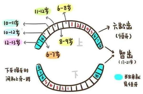 一、 先行虚假设：不同诞生时辰对应不同人格特质——传统方式观念阐释之要点概述