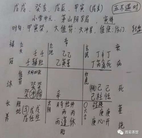 人体作为阴阳周转系统范例