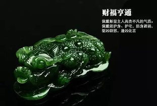 三、  较深度解析：科学研究依据的缺失与操作的边界