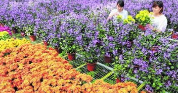 门票市场价格拆解：成人票、  学生票、隐藏优惠，别更多花冤枉钱