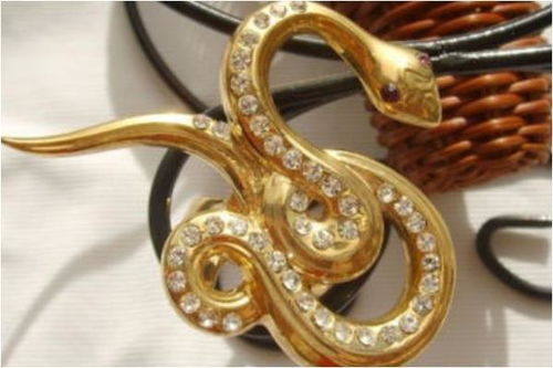 2026年属蛇的为何称百年难遇，那年的属蛇人身体状况究竟有何特别之处？