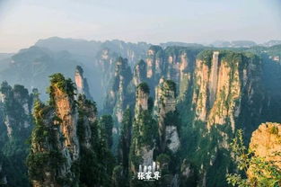 交通全攻略：到达与探索的便利