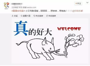 土象星座：务实、 完美与奋斗的现实主义