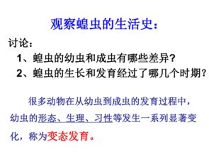 ：承负观念的伦理内涵与因果机制